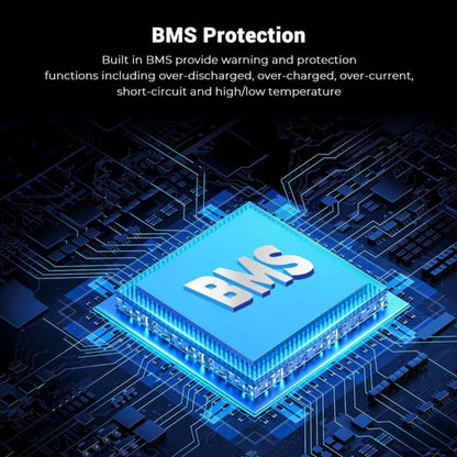 SunGold Power Powerwall BMS Protection
